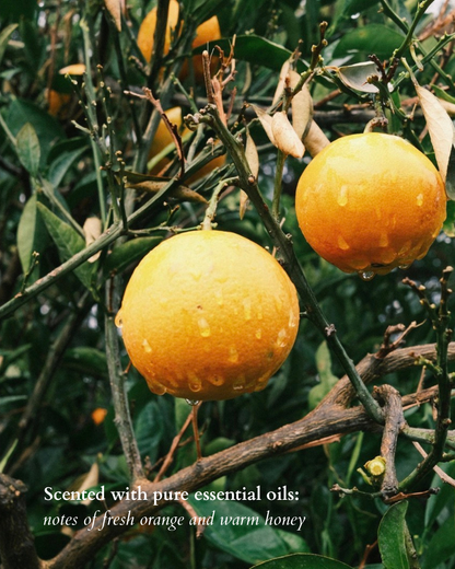 Sweet Orange & Honey Moisturizing Body Wash